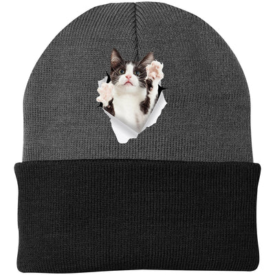 Black & White Cat Reaching - Athletic Oxford/Black CP90 Port & Company Knit Beanie