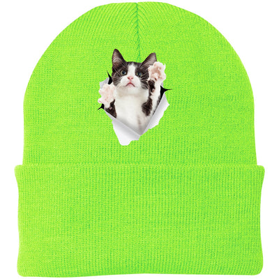 Black & White Cat Reaching - Neon Green CP90 Port & Company Knit Beanie