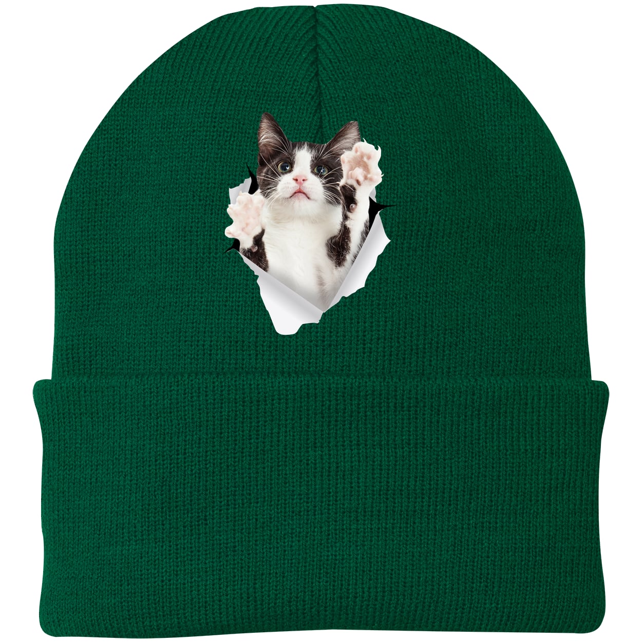 Black & White Cat Reaching - Athletic Green CP90 Port & Company Knit Beanie