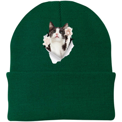 Black & White Cat Reaching - Athletic Green CP90 Port & Company Knit Beanie