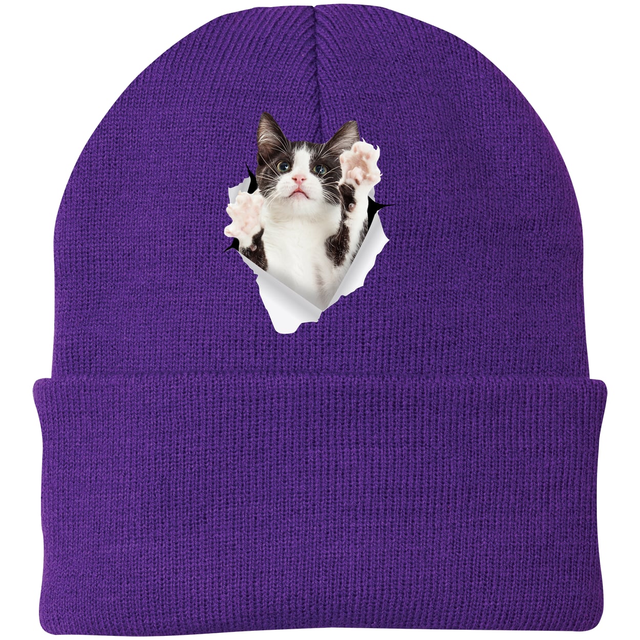 Black & White Cat Reaching - Athletic Purple CP90 Port & Company Knit Beanie