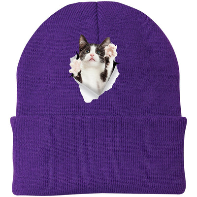 Black & White Cat Reaching - Athletic Purple CP90 Port & Company Knit Beanie