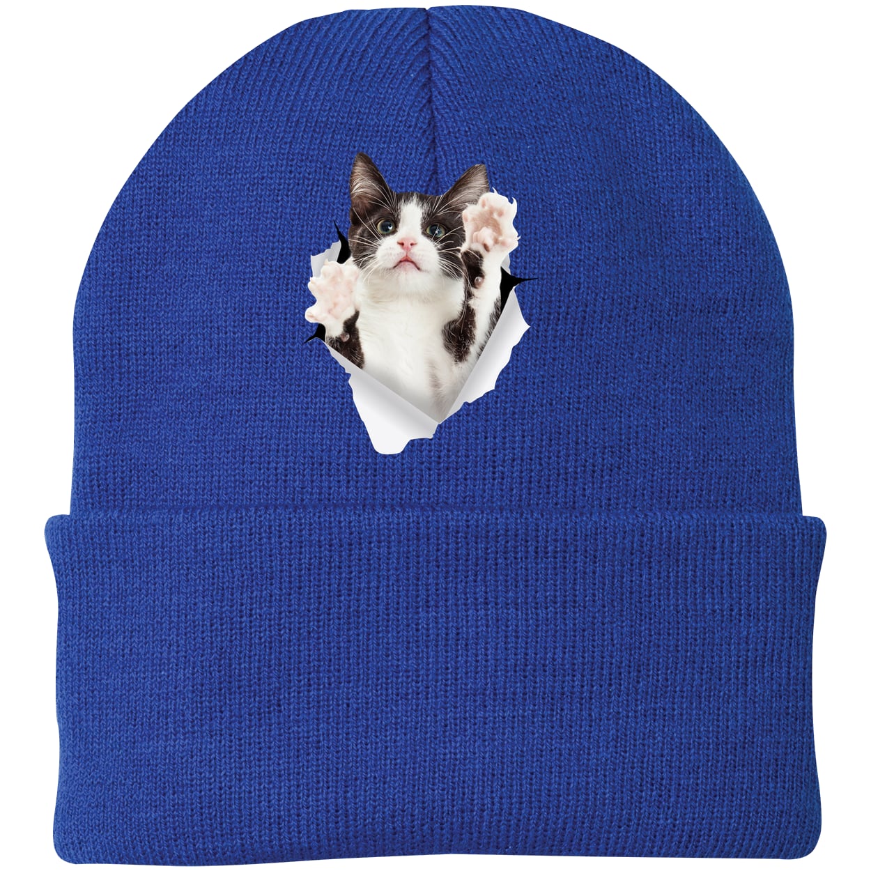 Black & White Cat Reaching - Athletic Royal CP90 Port & Company Knit Beanie