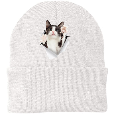 Black & White Cat Reaching - White CP90 Port & Company Knit Beanie