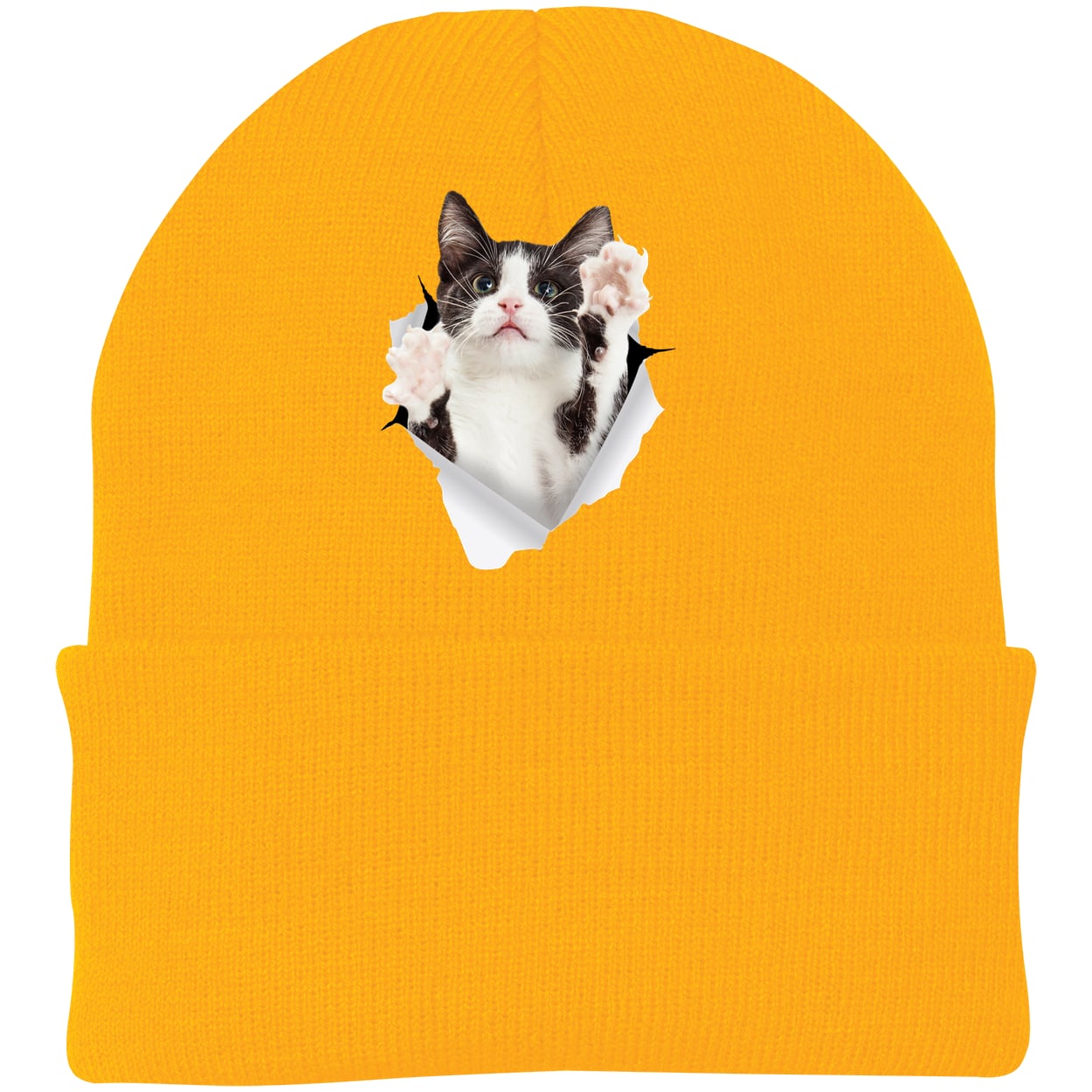 Black & White Cat Reaching - Athletic Gold CP90 Port & Company Knit Beanie