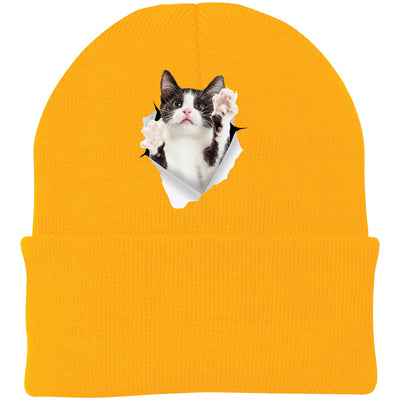 Black & White Cat Reaching - Athletic Gold CP90 Port & Company Knit Beanie