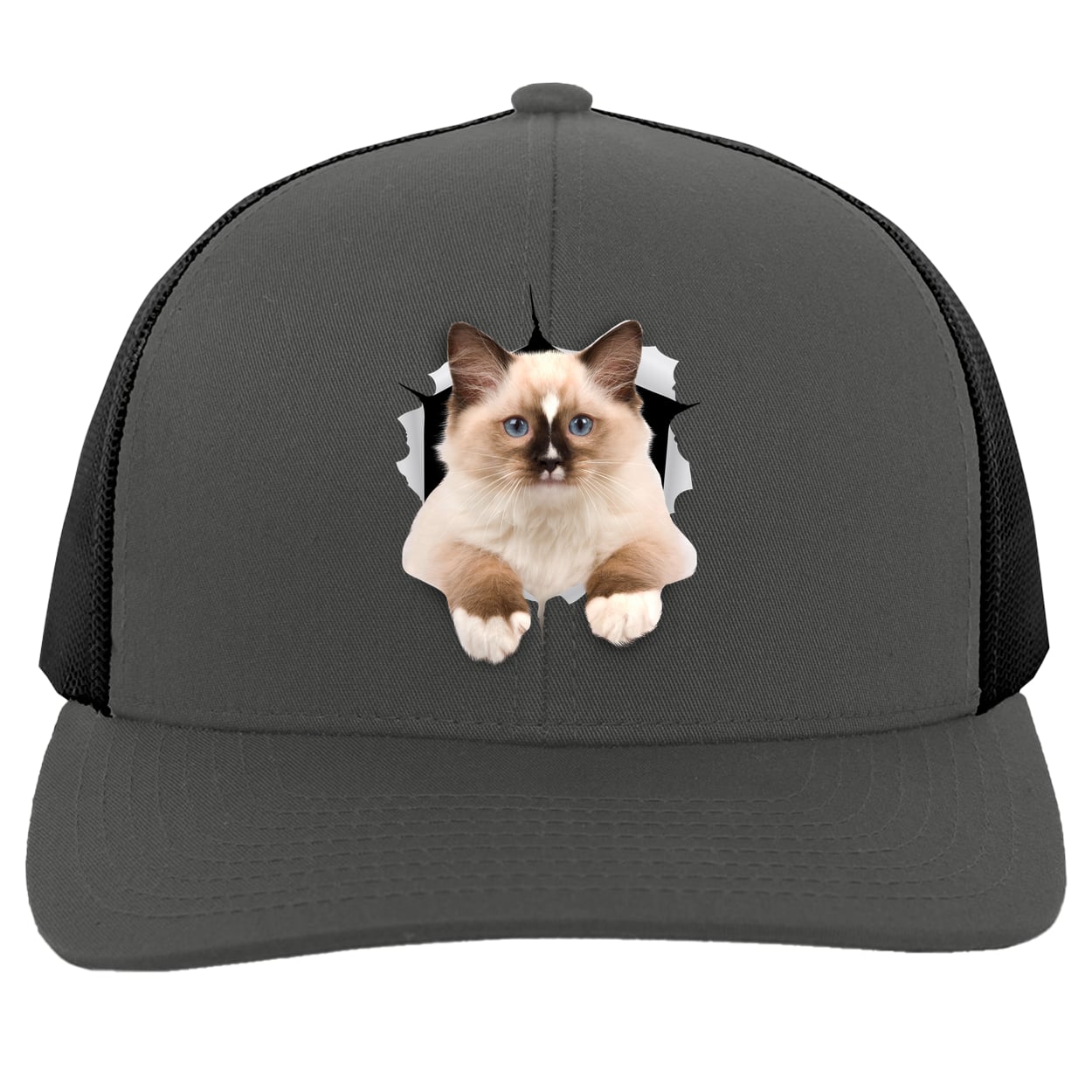 Ragdoll Cutie - Graphite/Black 104C Trucker Snap Back
