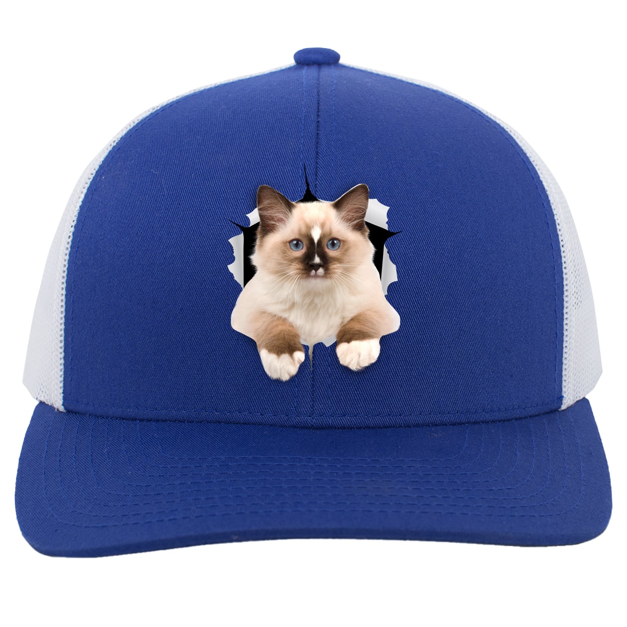 Ragdoll Cutie - Royal/White 104C Trucker Snap Back