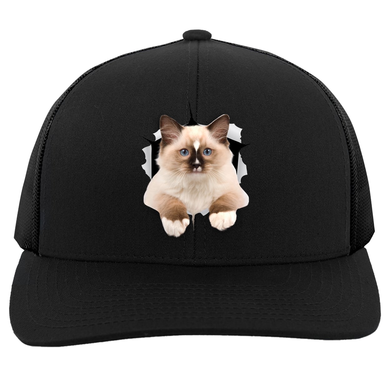 Ragdoll Cutie - Black 104C Trucker Snap Back