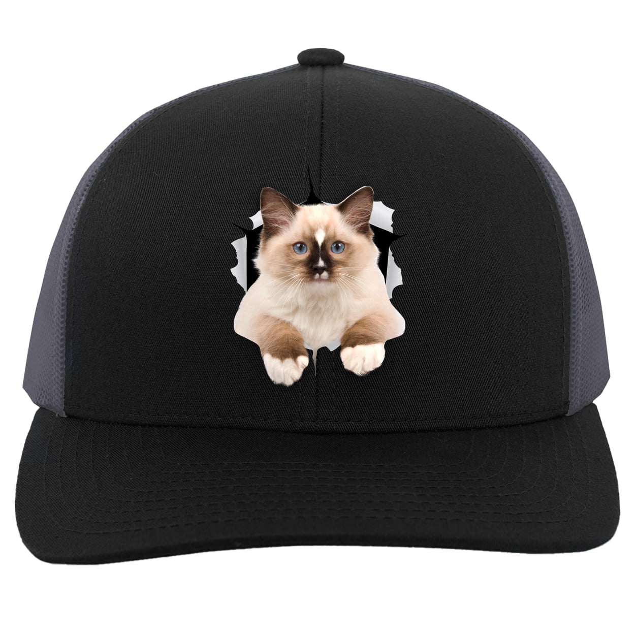 Ragdoll Cutie - Black/Graphite 104C Trucker Snap Back