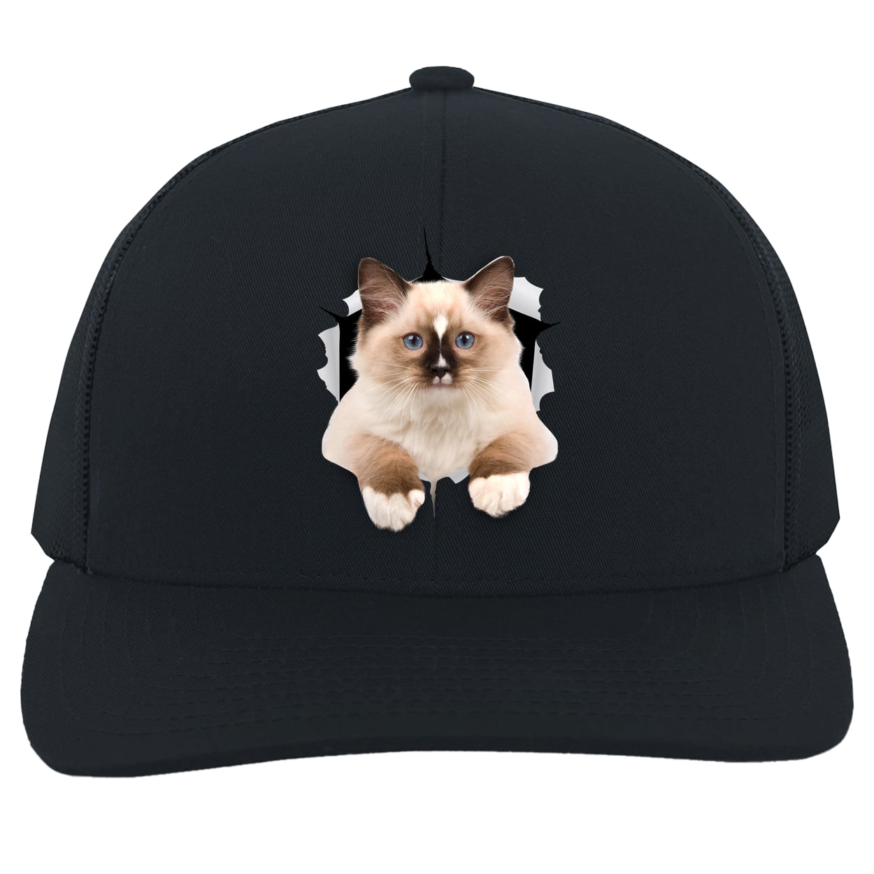 Ragdoll Cutie - Navy 104C Trucker Snap Back