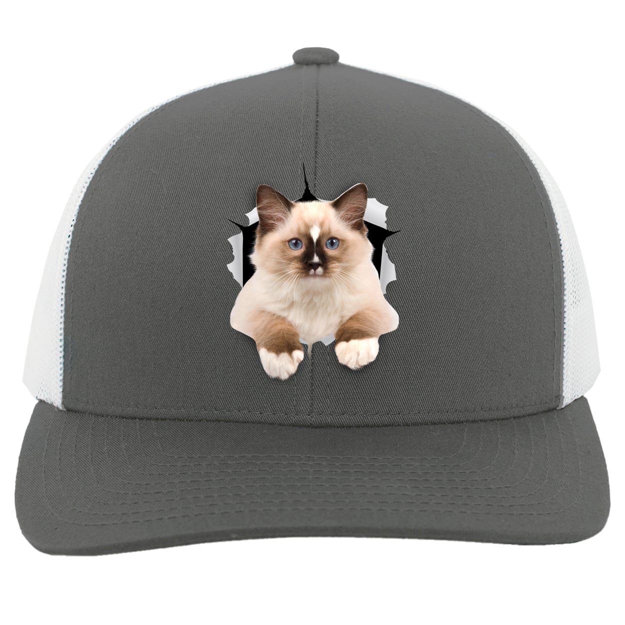 Ragdoll Cutie - Graphite/White 104C Trucker Snap Back