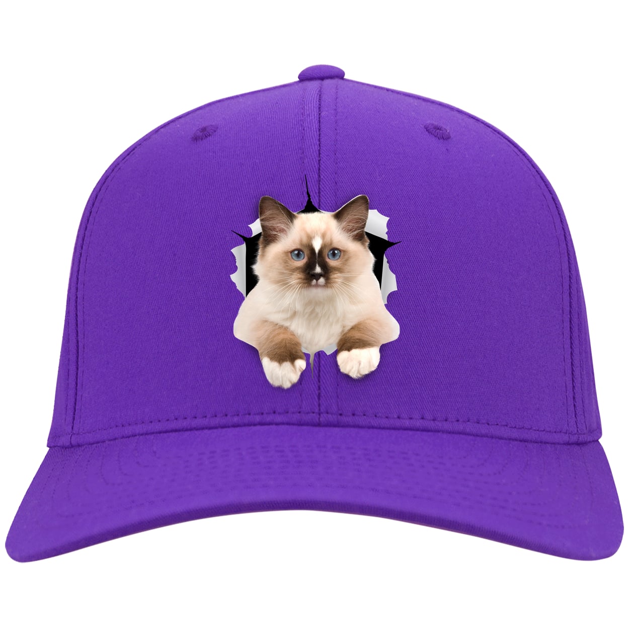 Ragdoll Cutie - Purple CP80 Port & Company Twill Cap