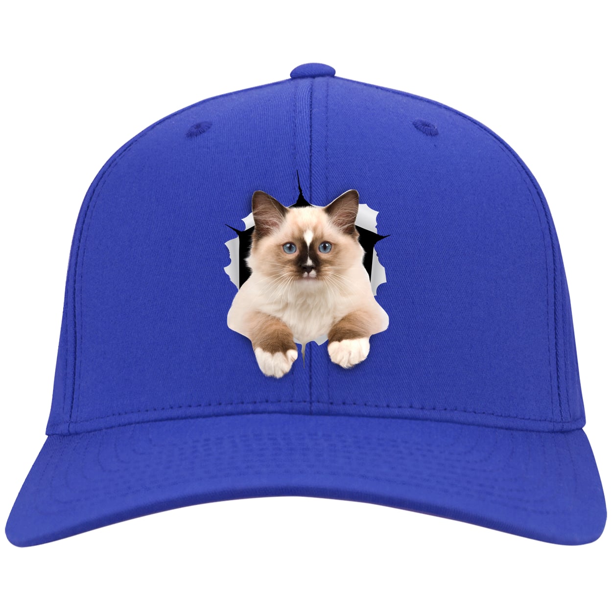 Ragdoll Cutie - Royal CP80 Port & Company Twill Cap