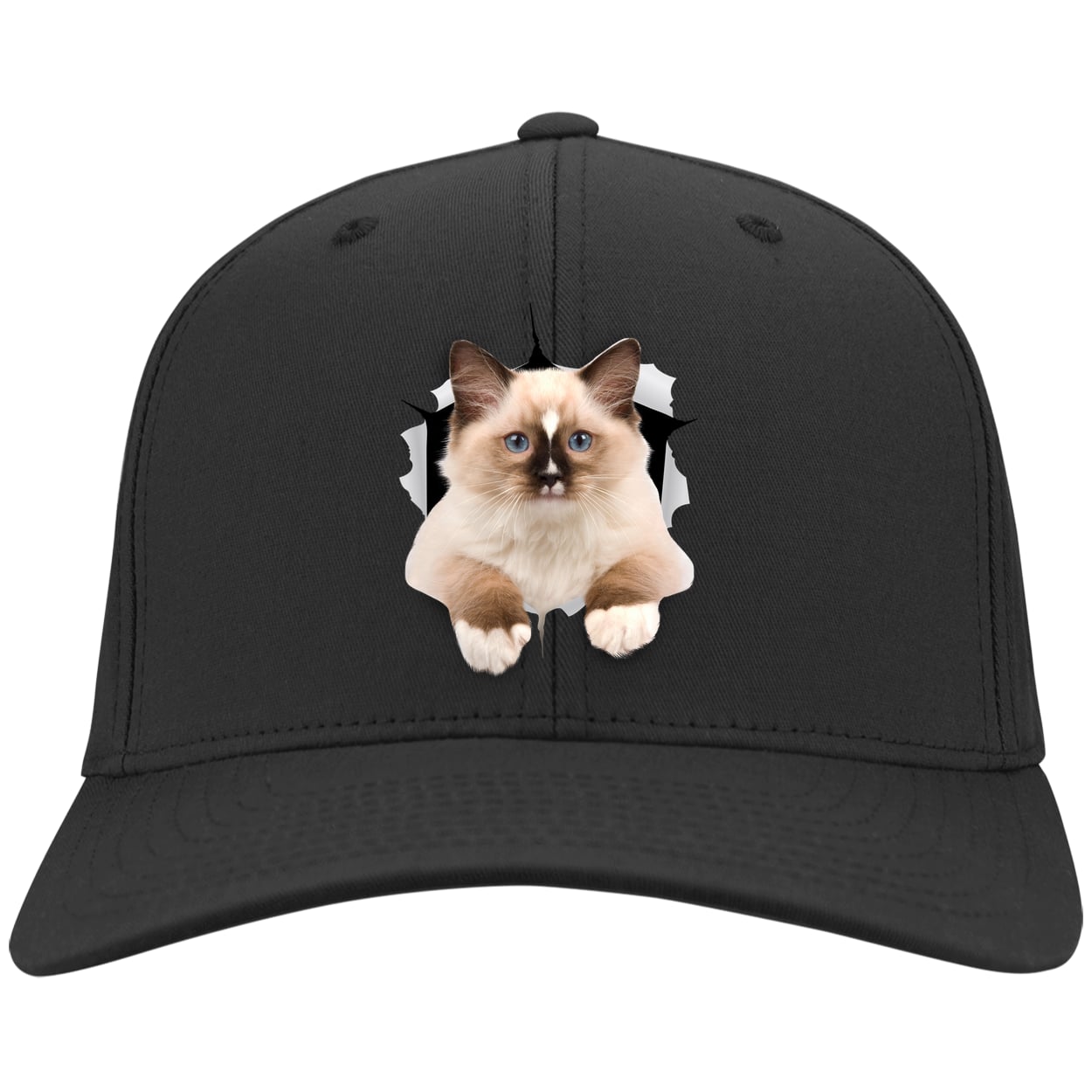 Ragdoll Cutie - Black CP80 Port & Company Twill Cap