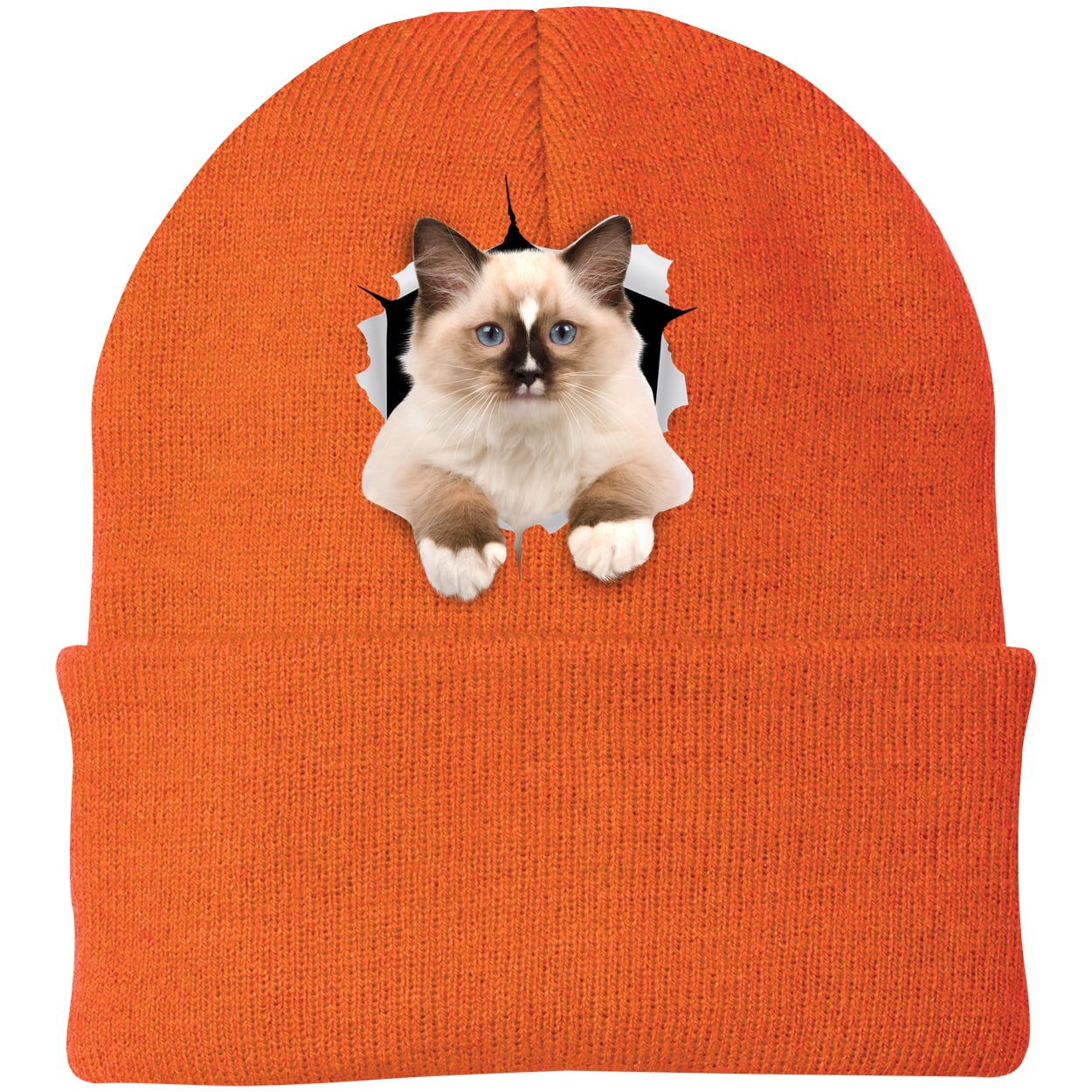 Ragdoll Cutie - Neon Orange CP90 Port & Company Knit Beanie