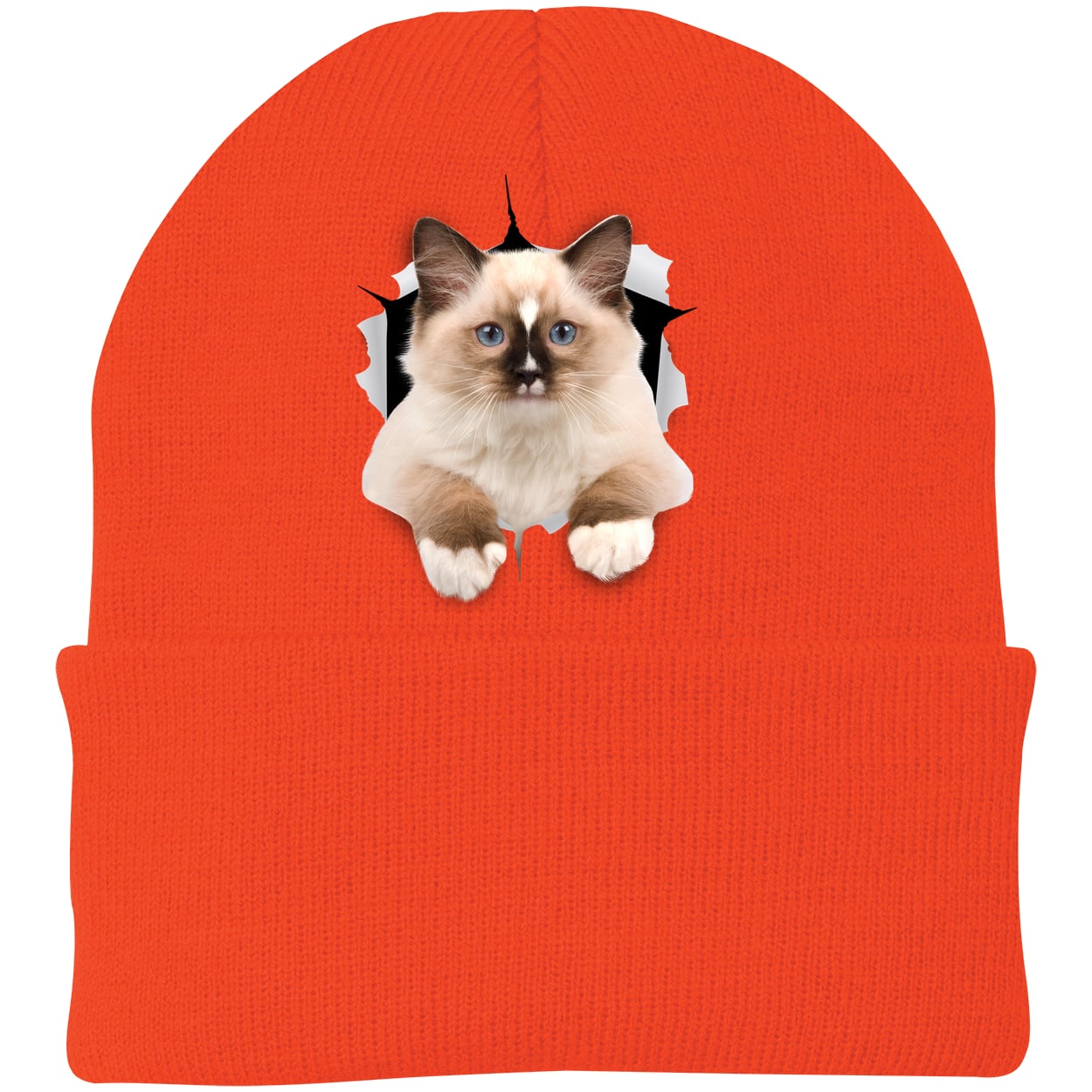 Ragdoll Cutie - Athletic Orange CP90 Port & Company Knit Beanie