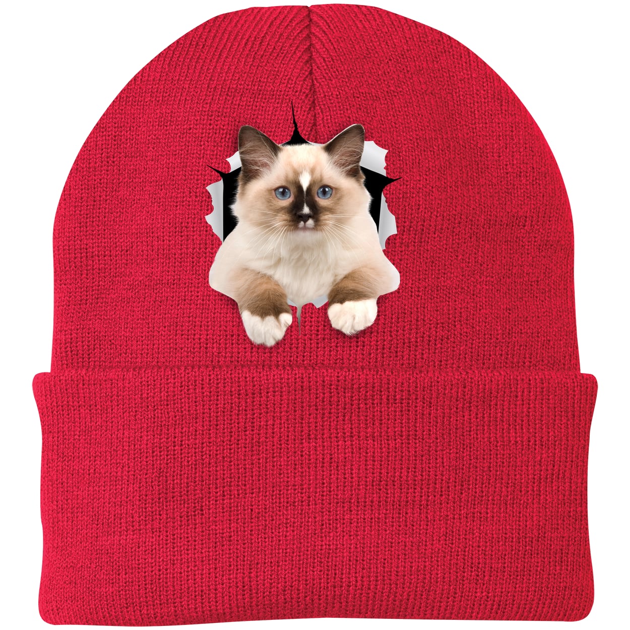 Ragdoll Cutie - Athletic Red CP90 Port & Company Knit Beanie