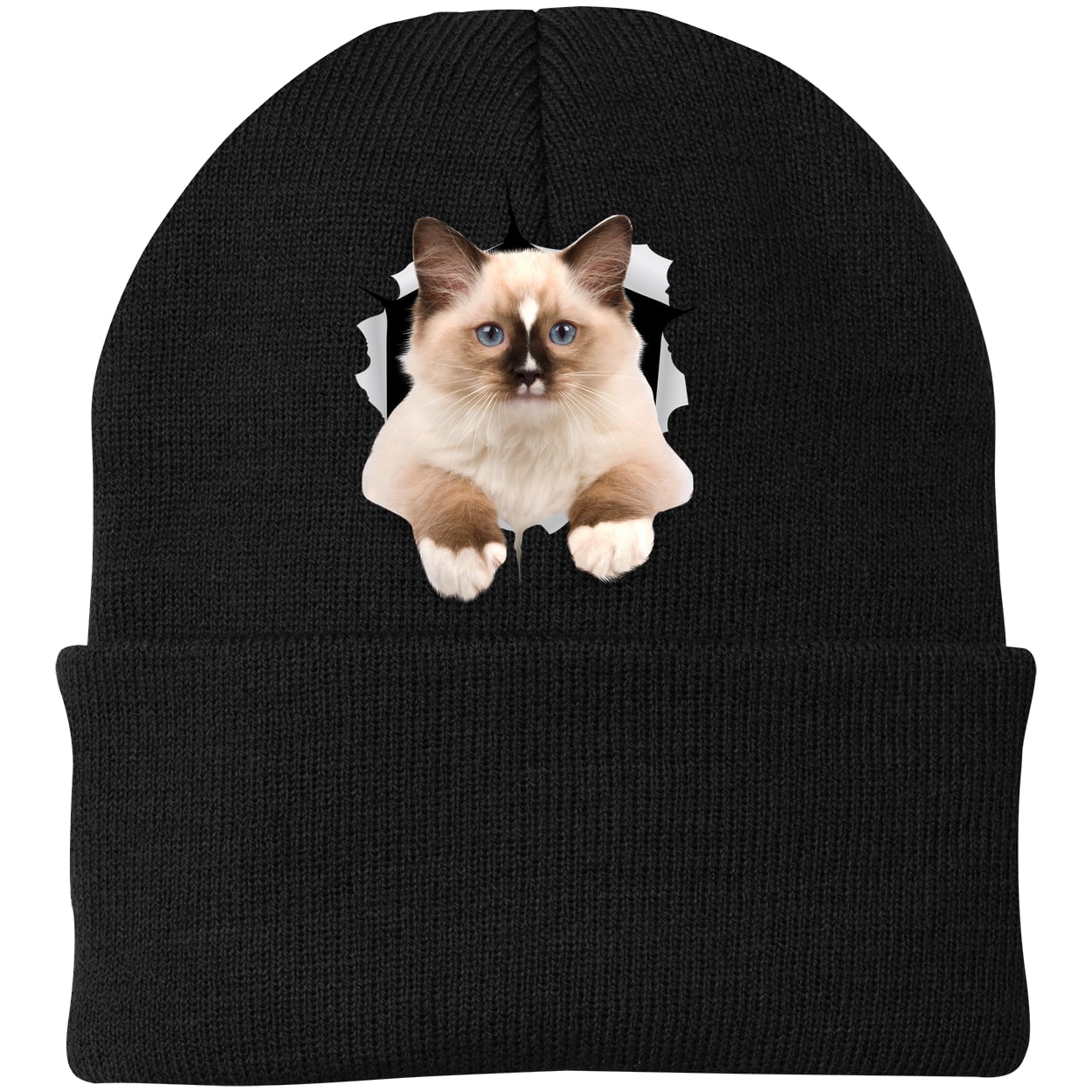 Ragdoll Cutie - Black CP90 Port & Company Knit Beanie