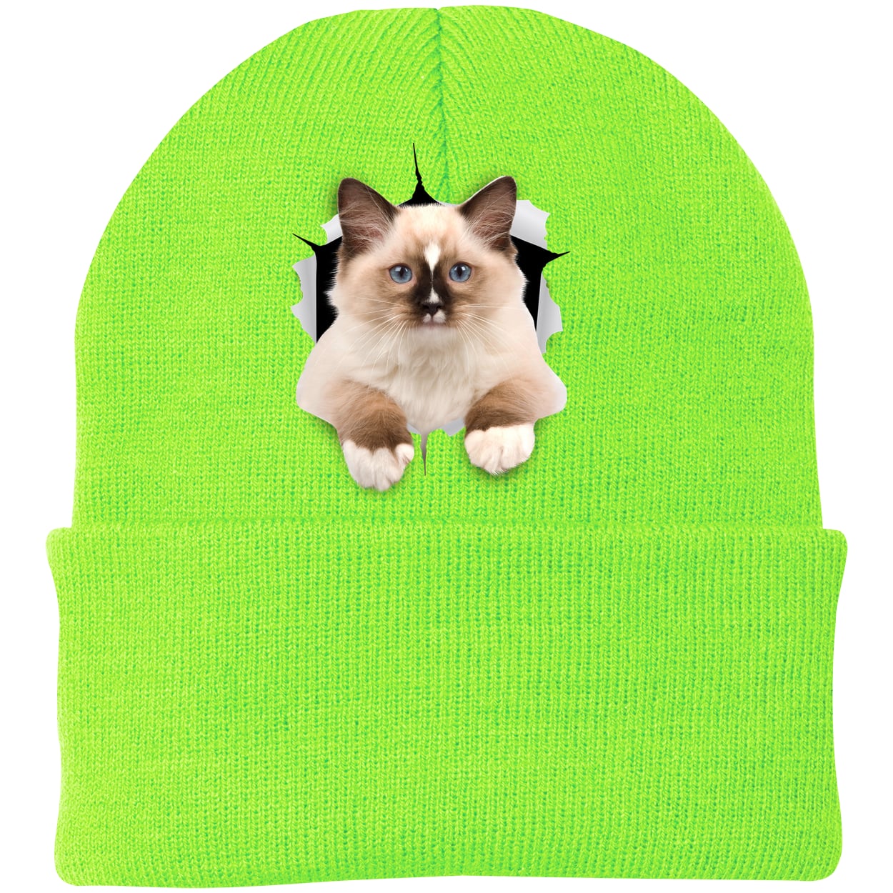Ragdoll Cutie - Neon Green CP90 Port & Company Knit Beanie
