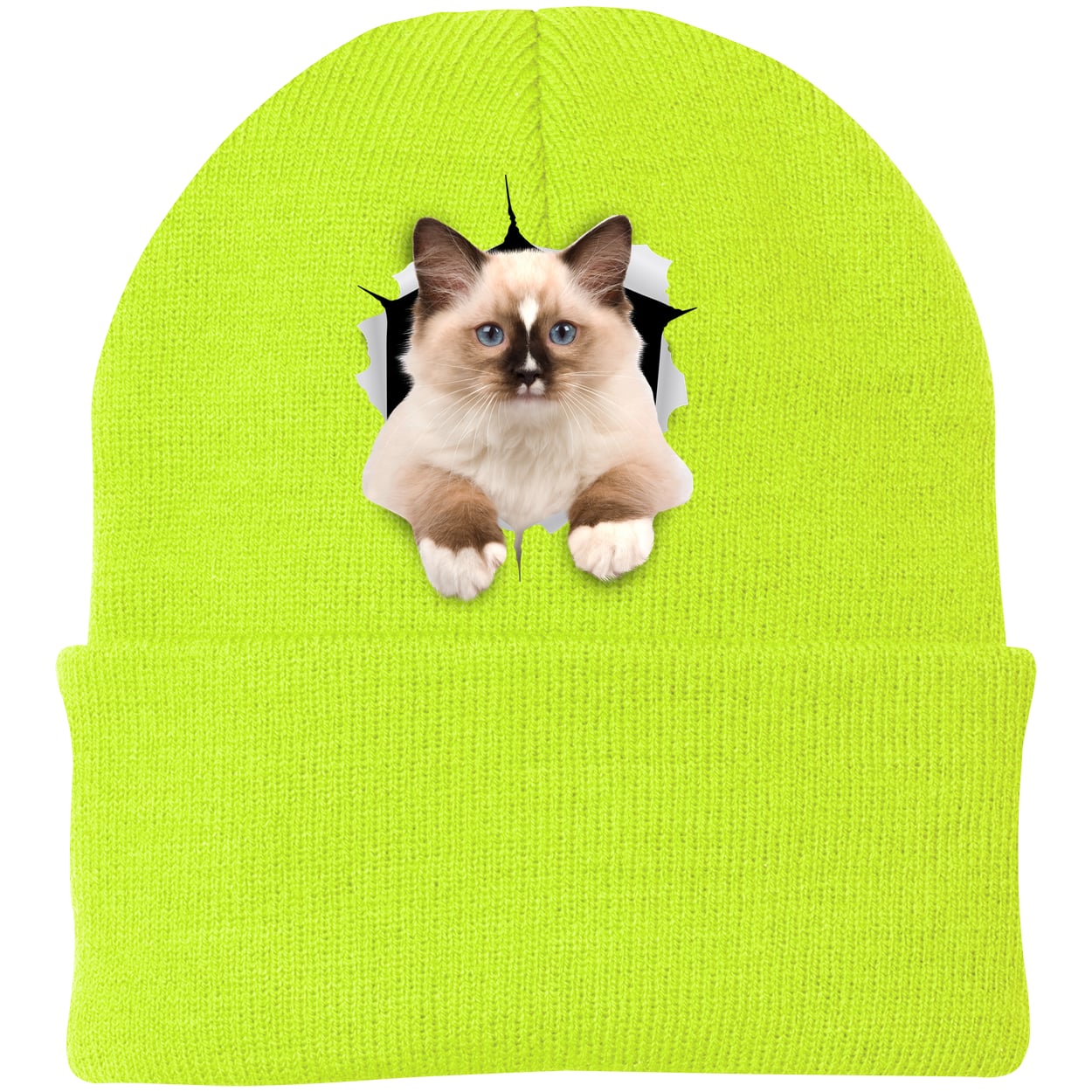 Ragdoll Cutie - Neon Yellow CP90 Port & Company Knit Beanie