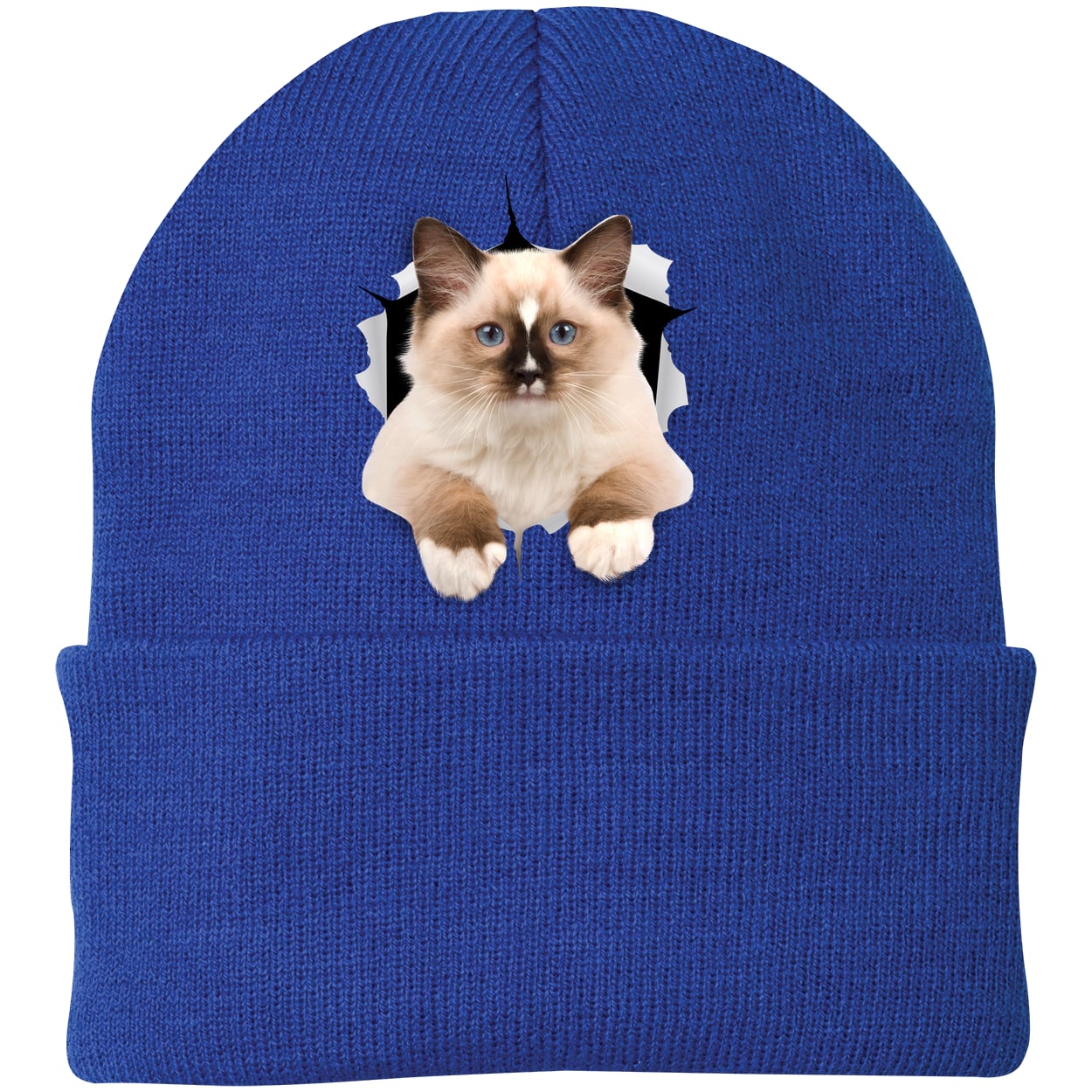 Ragdoll Cutie - Athletic Royal CP90 Port & Company Knit Beanie