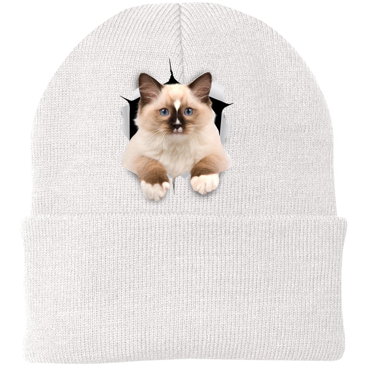 Ragdoll Cutie - White CP90 Port & Company Knit Beanie