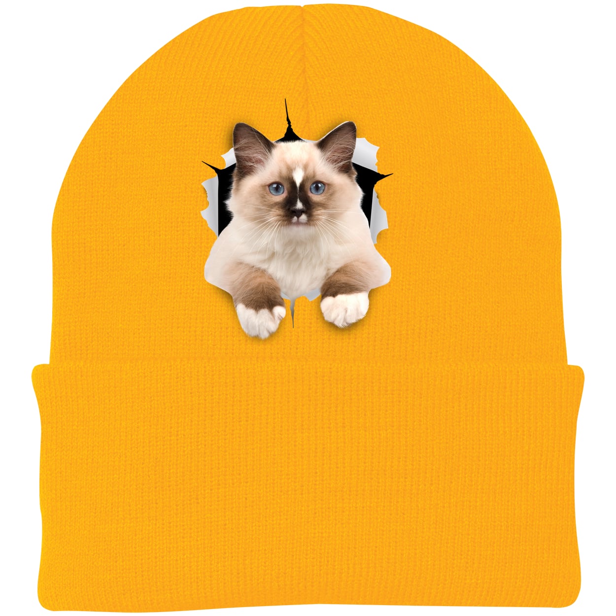 Ragdoll Cutie - Athletic Gold CP90 Port & Company Knit Beanie