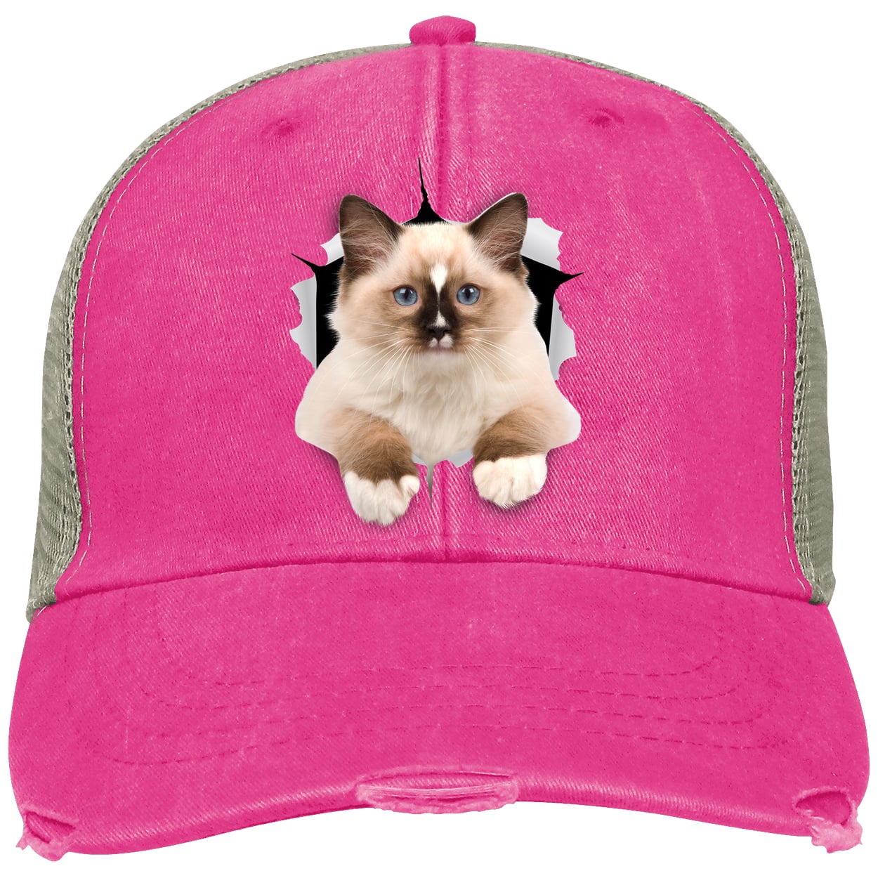 Ragdoll Cutie - Neon Pink/Tan OL102 Adams Distressed Ollie Cap
