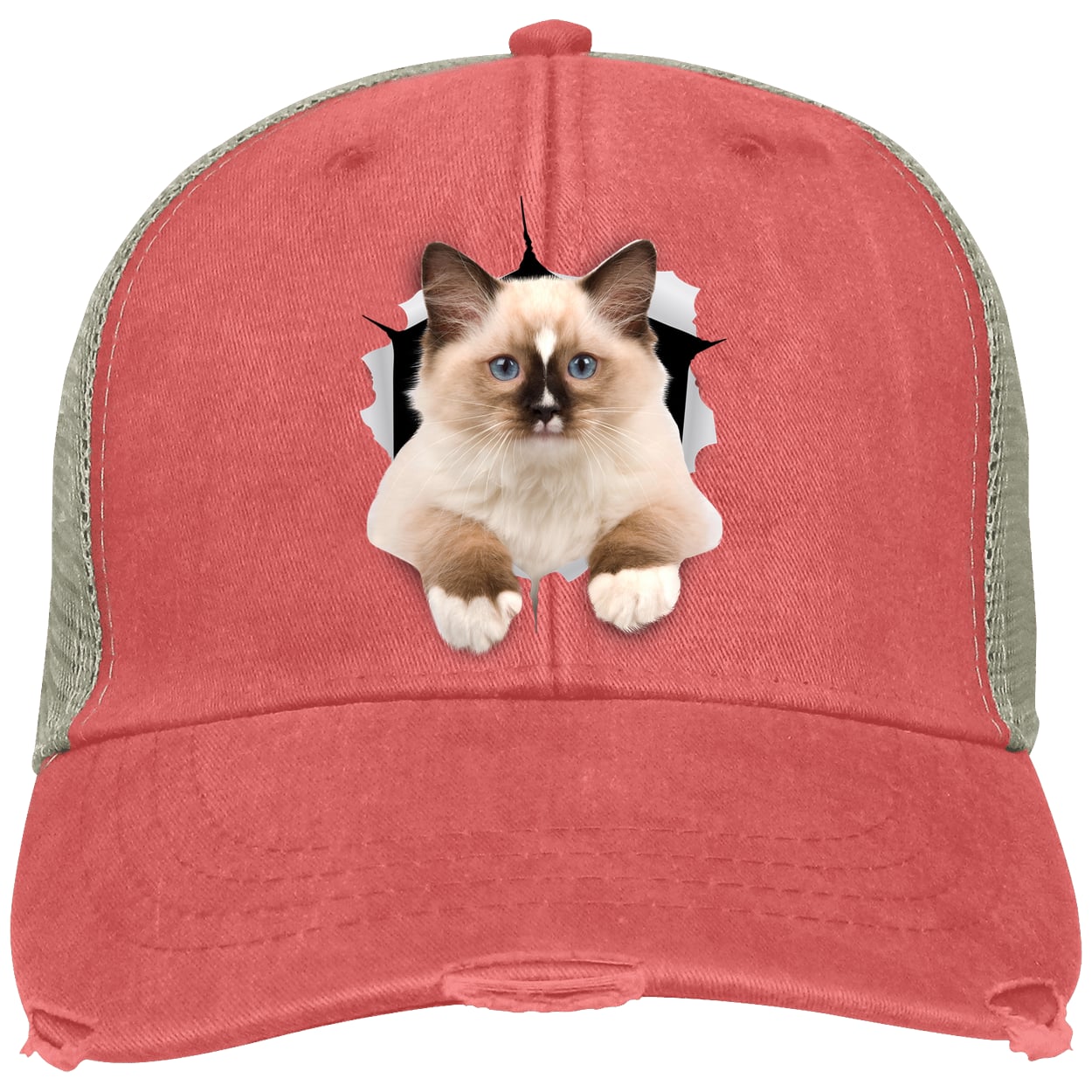 Ragdoll Cutie - Coral OL102 Adams Distressed Ollie Cap