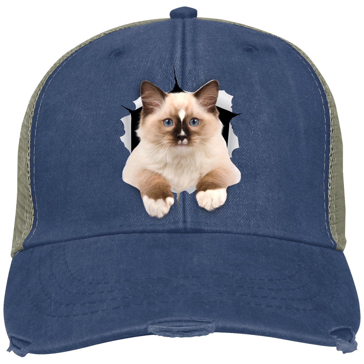 Ragdoll Cutie - Royal OL102 Adams Distressed Ollie Cap
