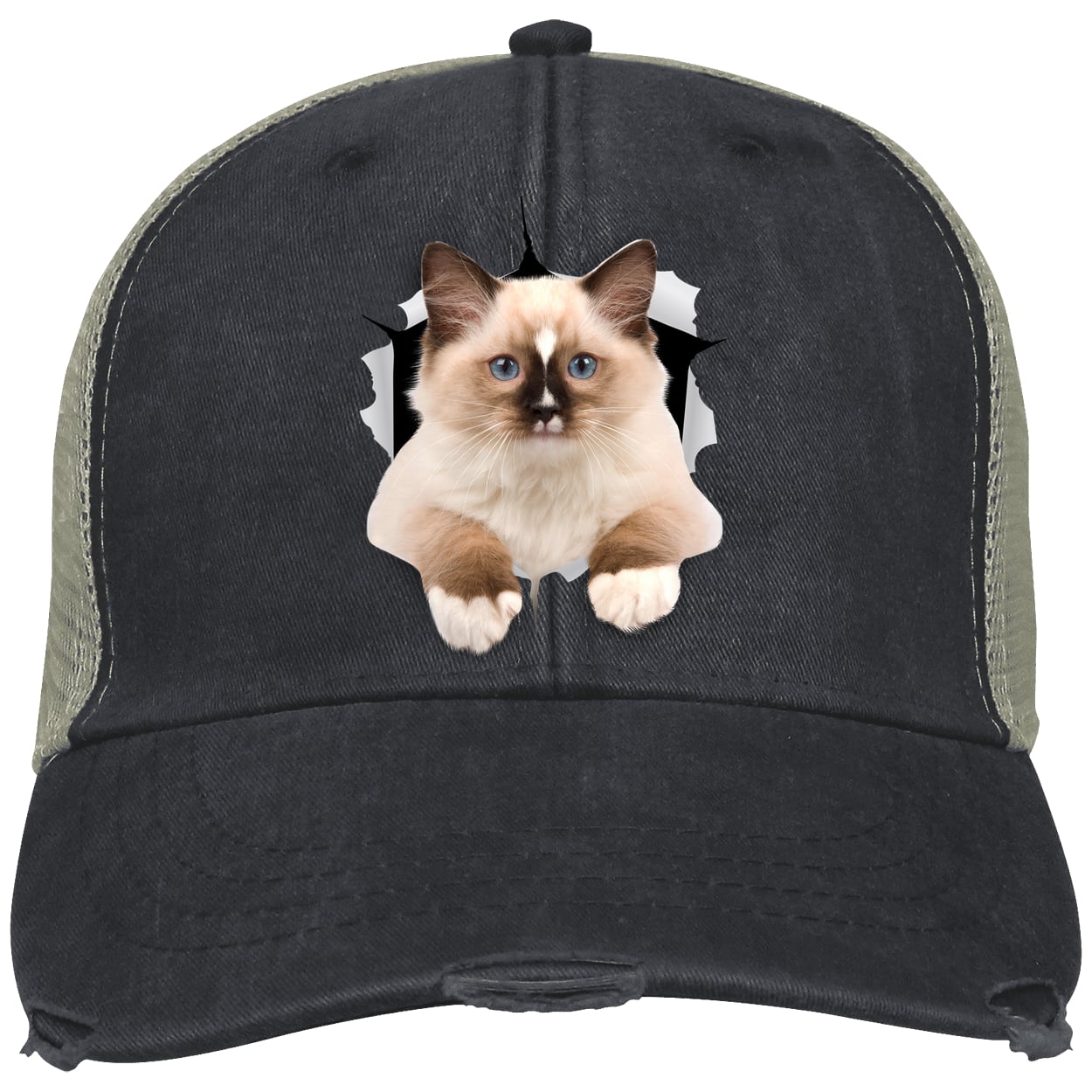 Ragdoll Cutie - Black OL102 Adams Distressed Ollie Cap