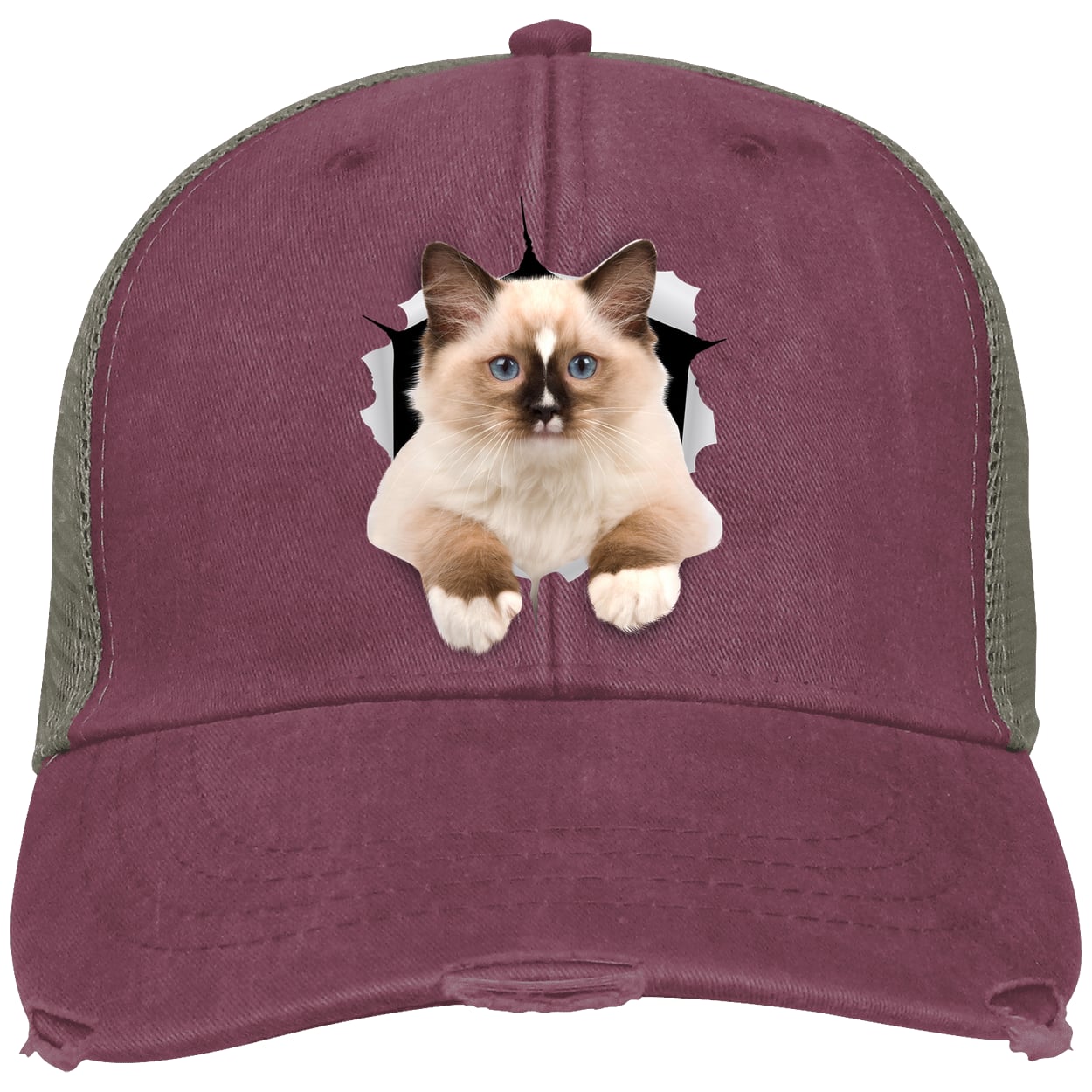 Ragdoll Cutie - Maroon OL102 Adams Distressed Ollie Cap