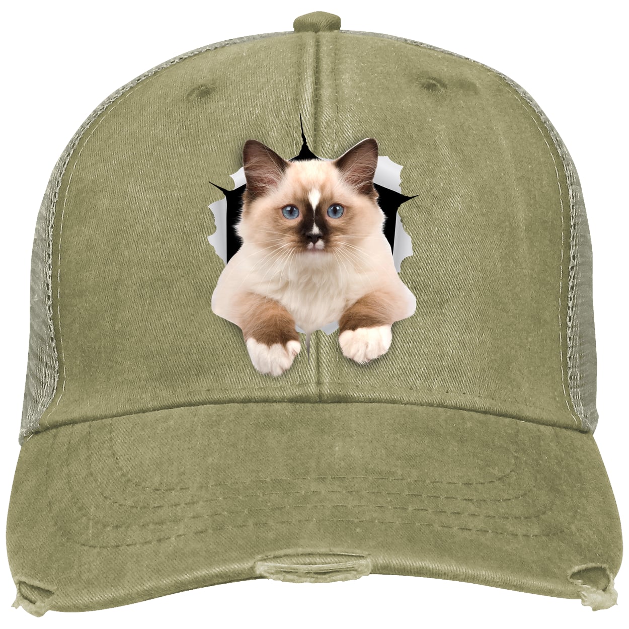 Ragdoll Cutie - Khaki OL102 Adams Distressed Ollie Cap