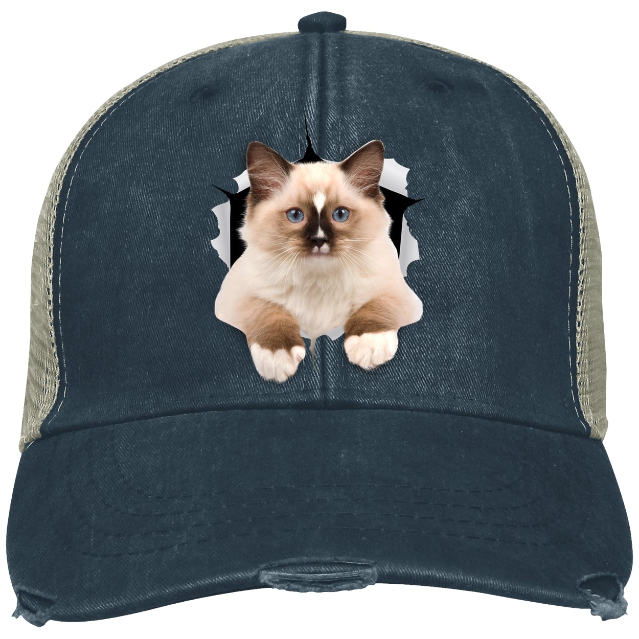 Ragdoll Cutie - Navy OL102 Adams Distressed Ollie Cap