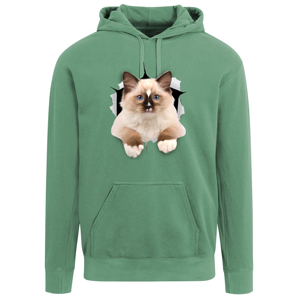 Ragdoll Cutie - Light Green 1567 Comfort Colors Garment-Dyed Adult Hoodie