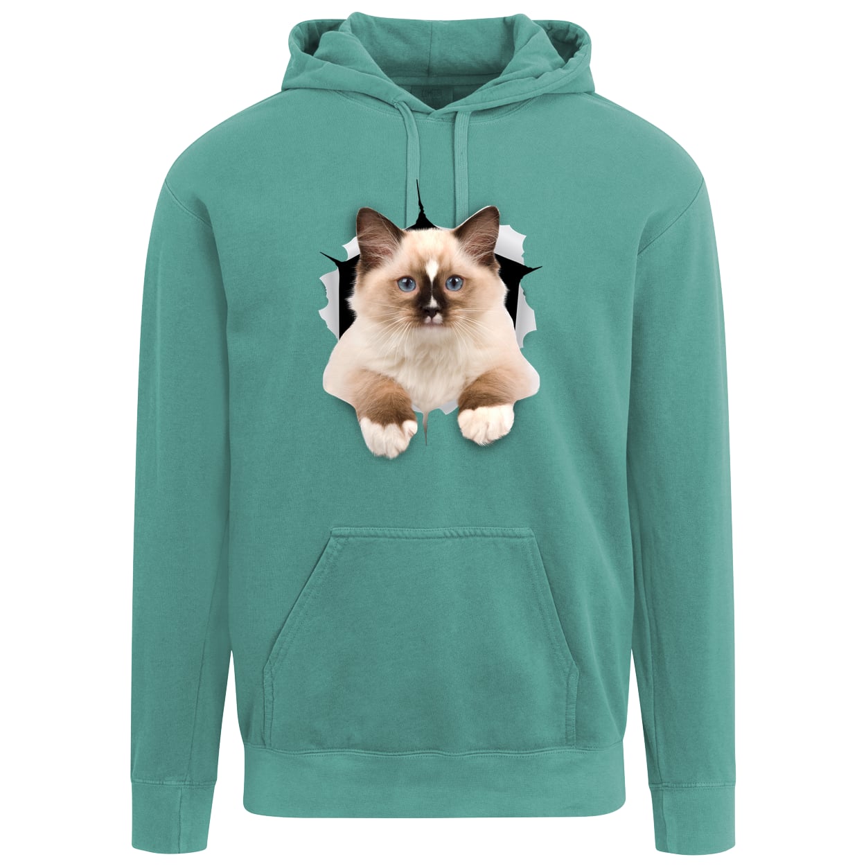 Ragdoll Cutie - Seafoam 1567 Comfort Colors Garment-Dyed Adult Hoodie
