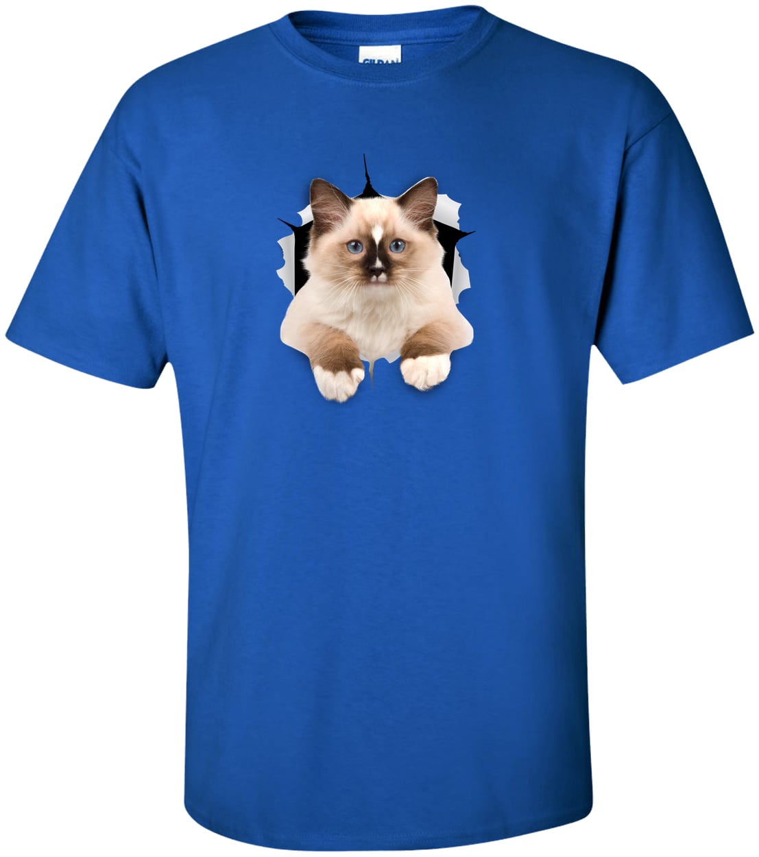 Ragdoll Cutie - Royal G200T Gildan Mens Tall Ultra Cotton Tee