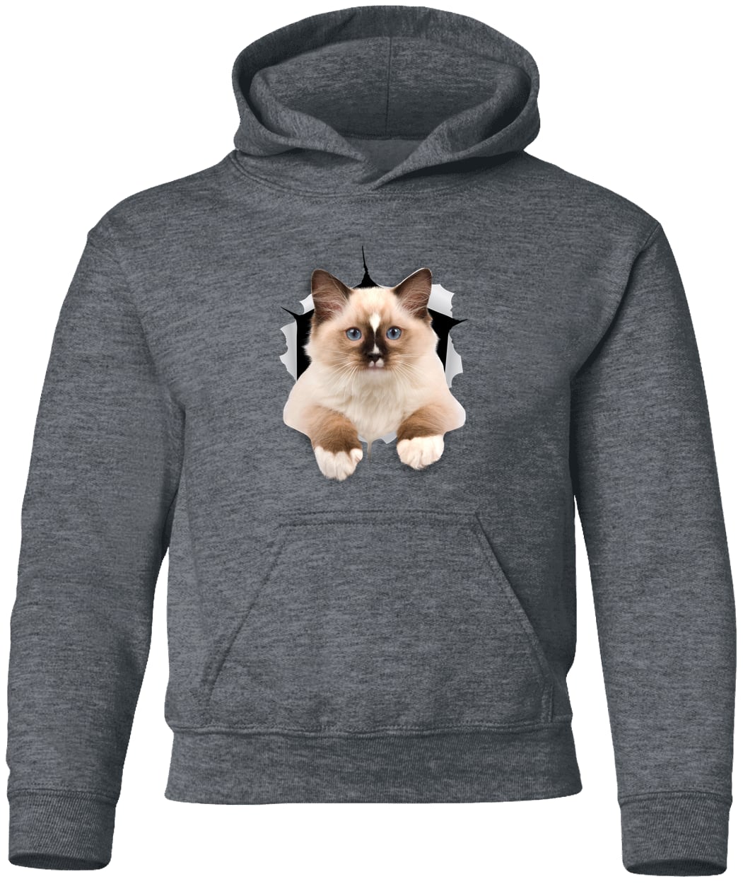 Ragdoll Cutie - Dark Heather G185B Gildan Youth Pullover Hoodie