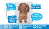 Adorable Dachshund Mug