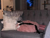 Plush Calming Pet Bed For Cats and Dogs