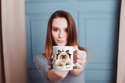 Brown Ragdoll Cat Mug