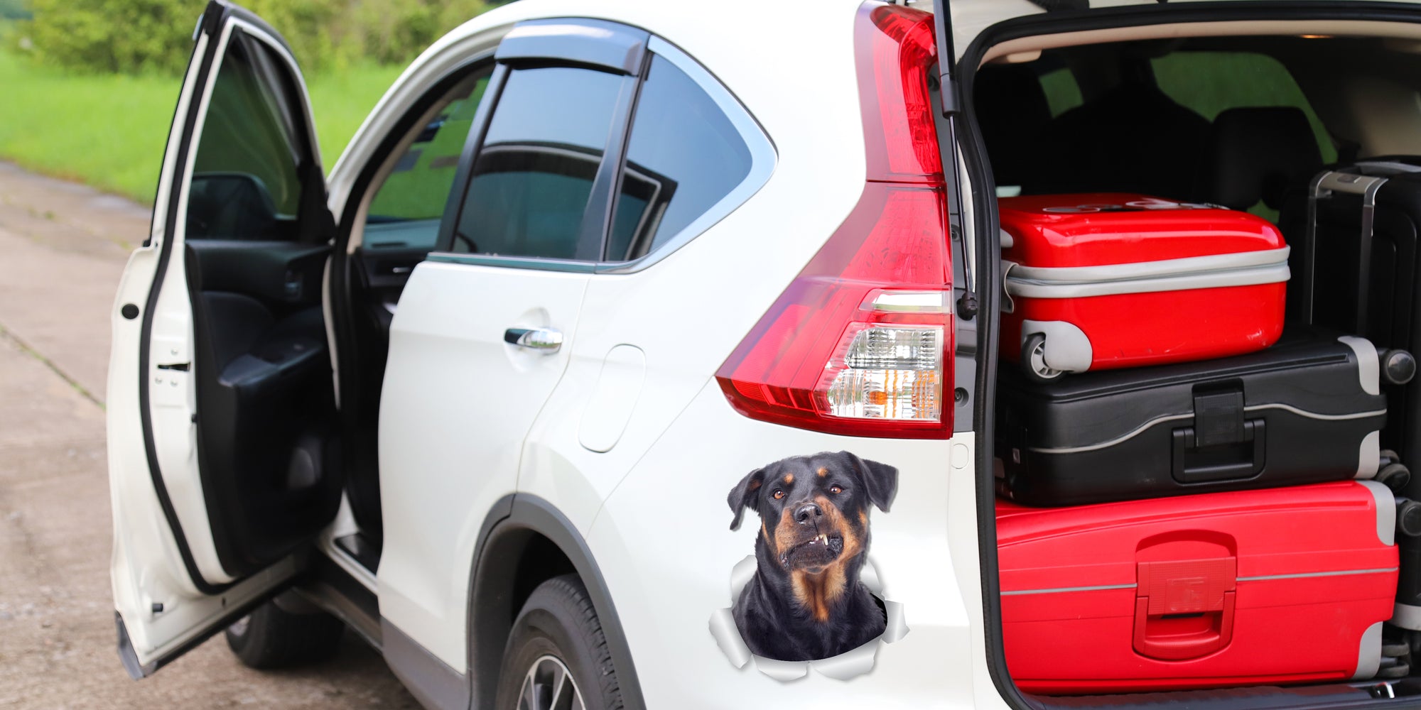 Funny Rottweiler Decals