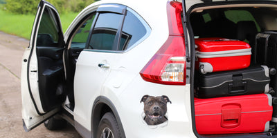 Happy Staffie Decals