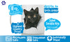 Cute Black Kitten Mug