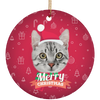Custom Your Pet Christmas Ornaments