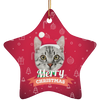 Custom Your Pet Christmas Ornaments