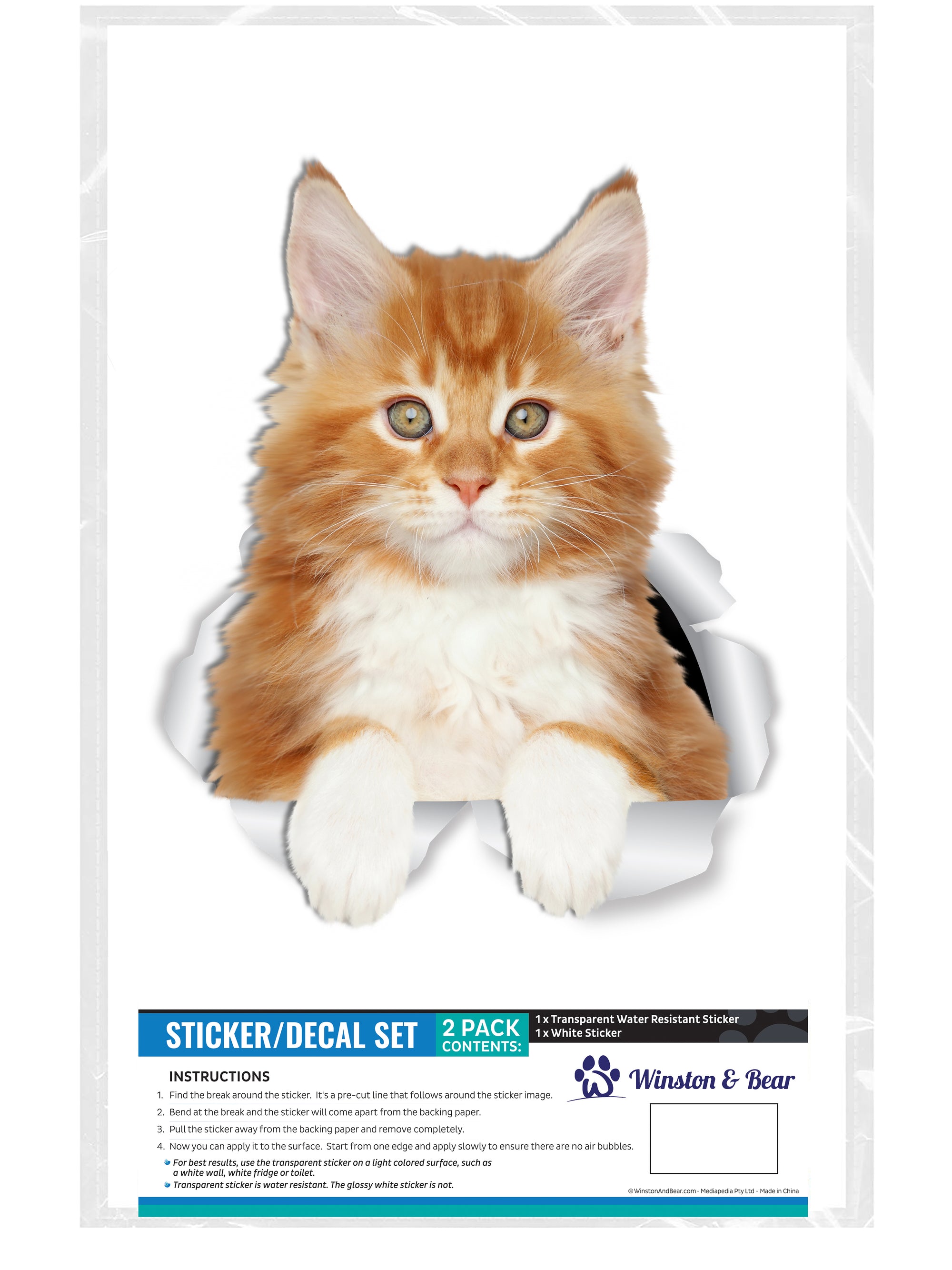 Cute Ginger Kitty Decals