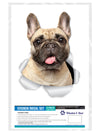 Loveable French Bulldog Decals