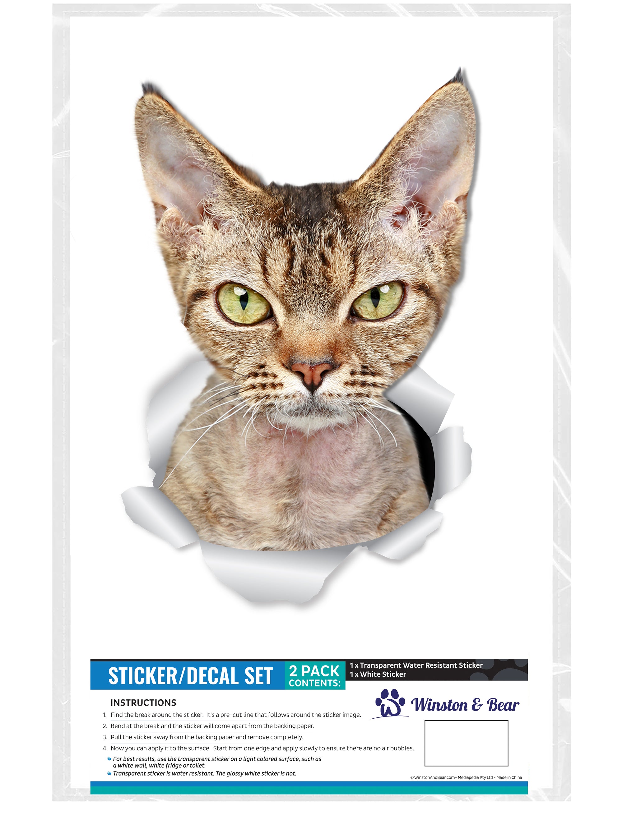 Grumpy Rex Cat Decals